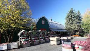 Orchards